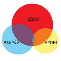 A diagram to illustrate the overlap in brain gene expression changes seen in unaffected individuals who carry the APOE4 high-risk variant, relative to changes seen in unaffected older individuals or to Alzheimer's patients.